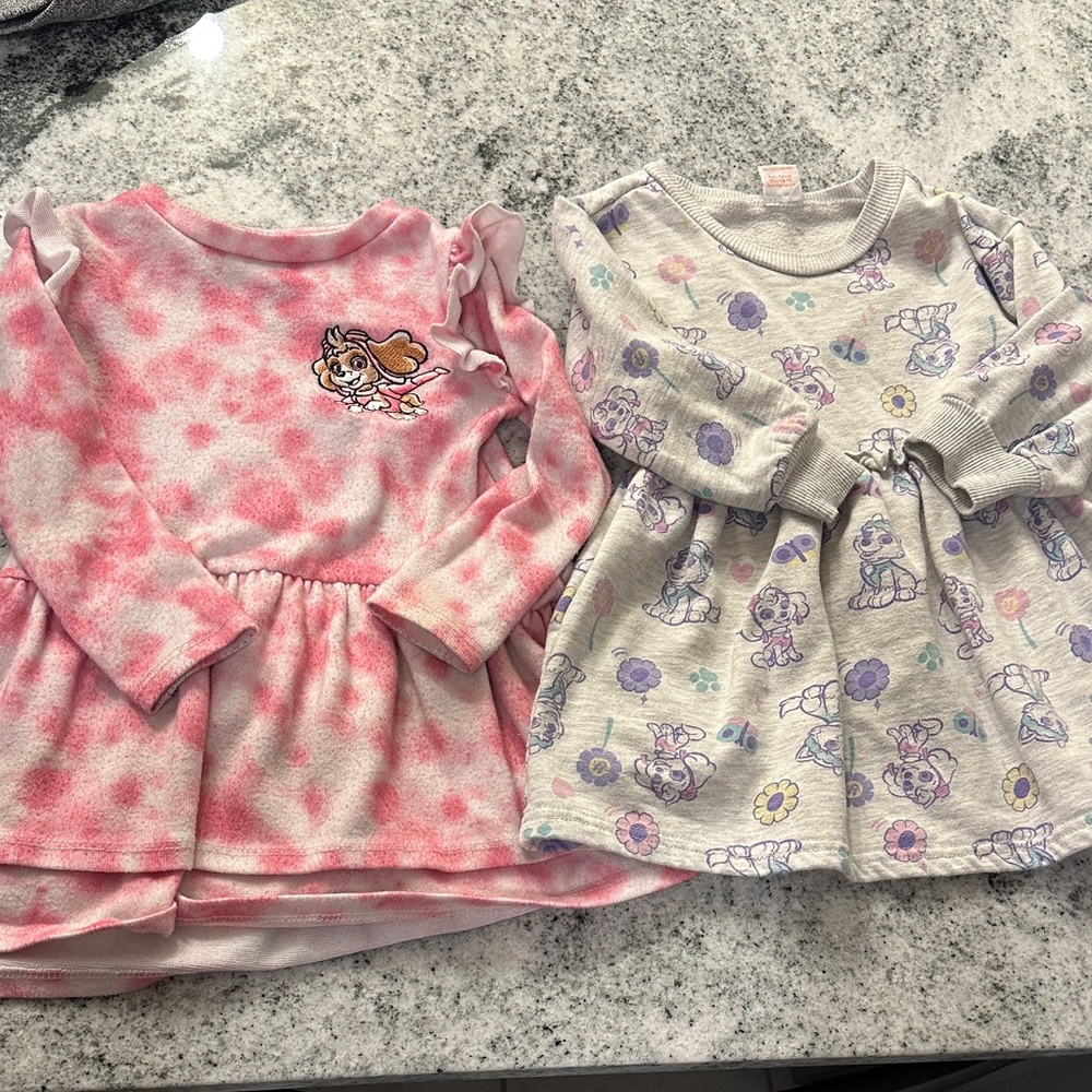 Paw Patrol Skye‎ Everest Girl sweatshirt dress bundle 2T and 3T lot of 2